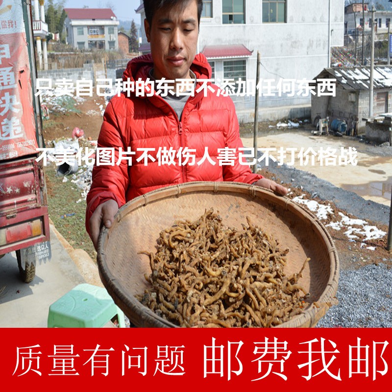 多年纯野生玉竹 天然无硫玉竹条250g 高山原生态野生玉竹 有麦冬